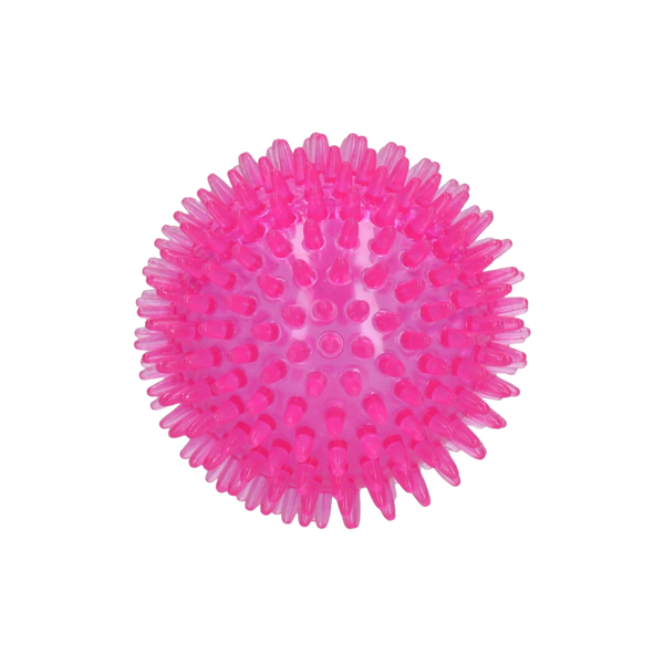 Dog Comets Exoplanet Egelbal S/M