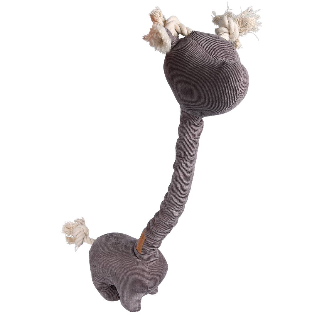 D&D - George large corduroy