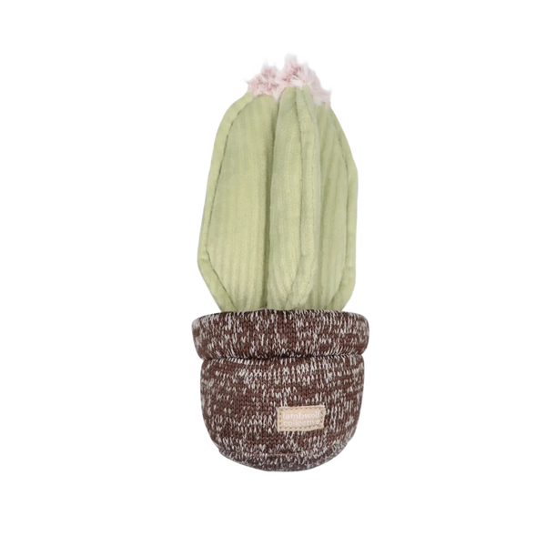 Lambwolf - Cactus