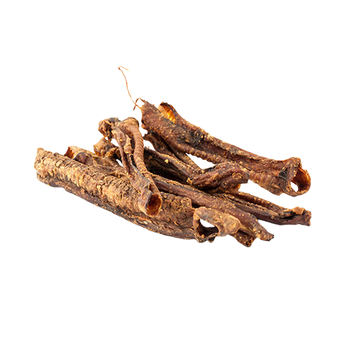 Akyra - Lamsluchtpijp