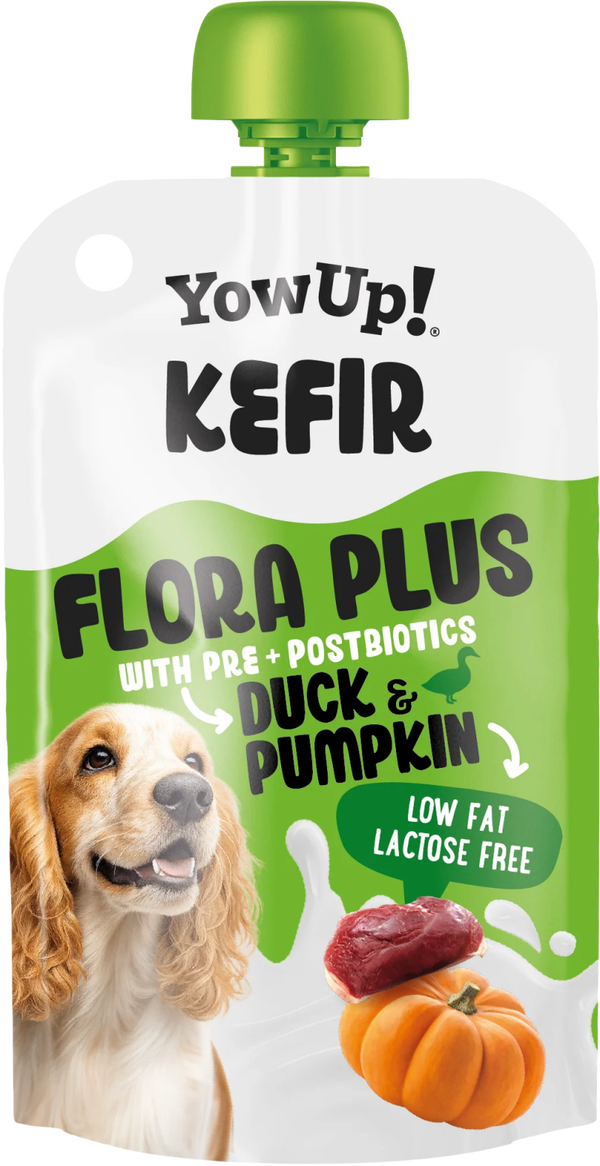 Yowup - Kefir duck & pumpkin