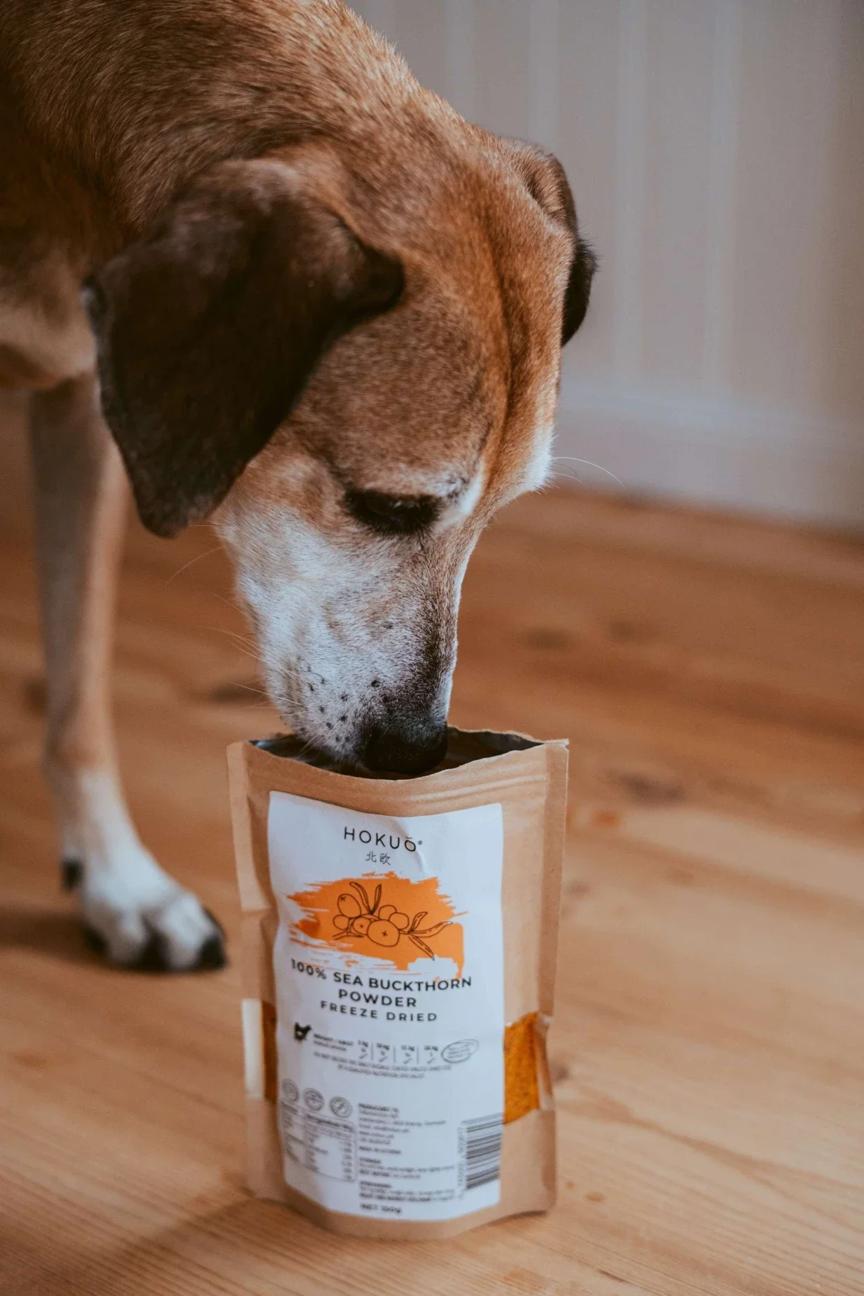 Hokuō - Sea buckthorn powder