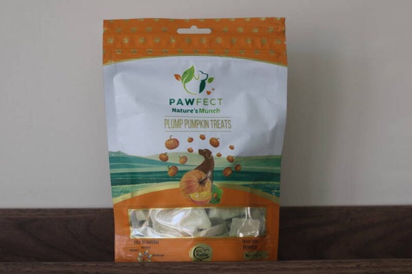 Pawfect - Pumpkin