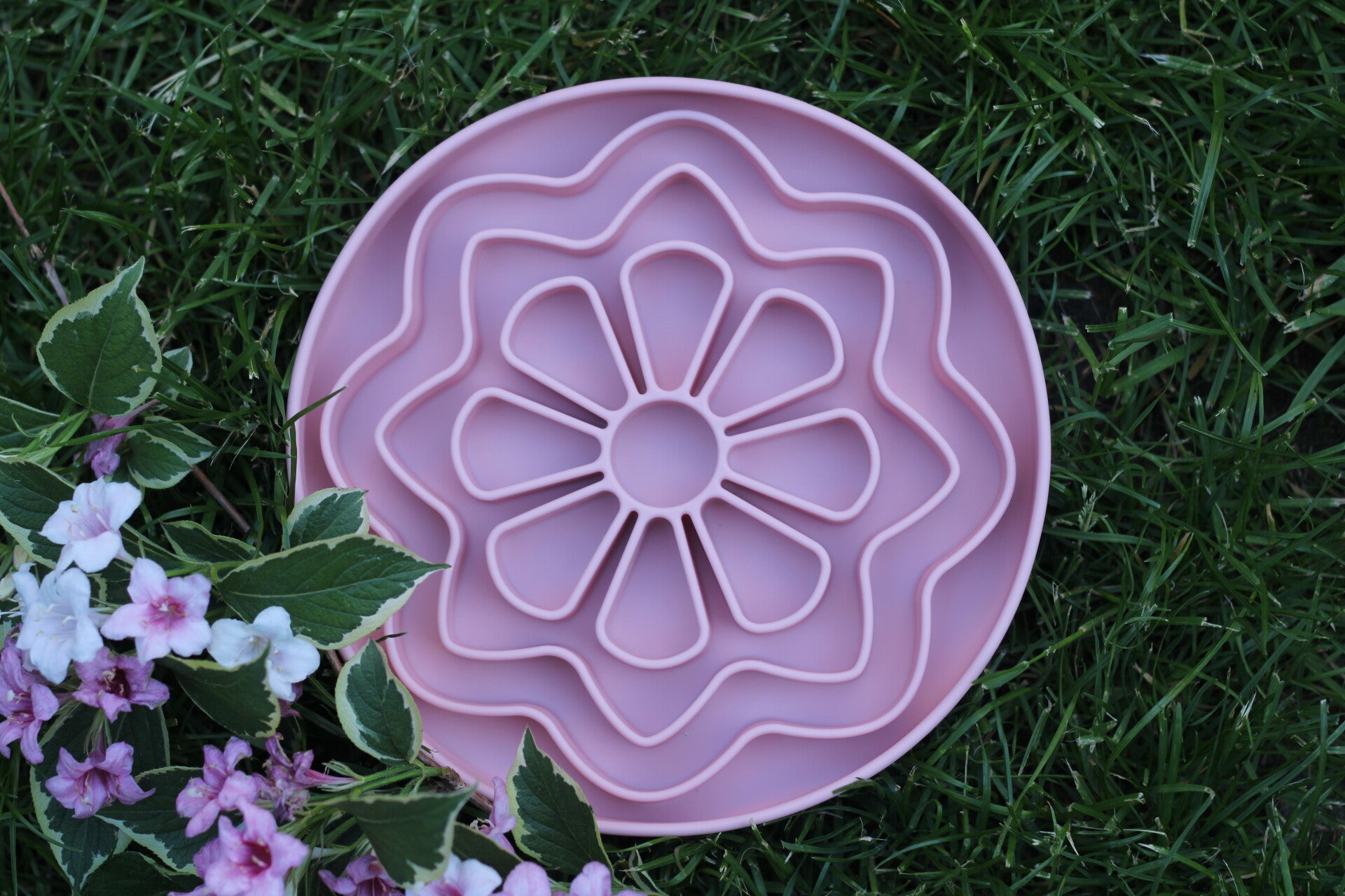 Seasonpaws - Flower power