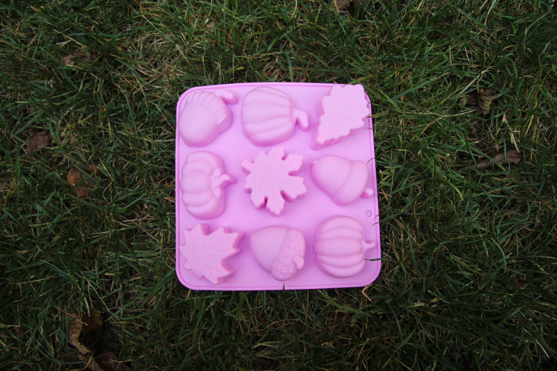 Seasonpaws - Autumn mal