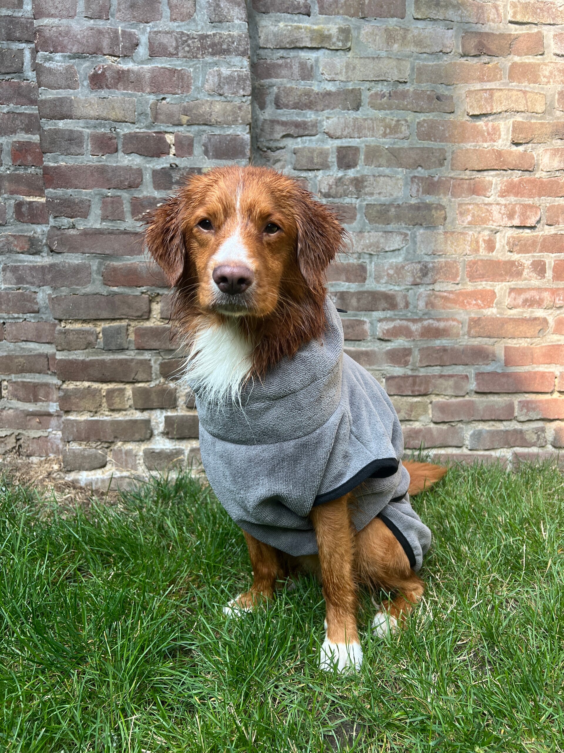 Seasonpaws - Gepersonaliseerde badjas