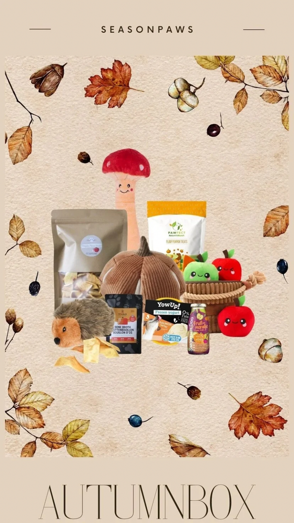 Seasonpaws - Autumnbox