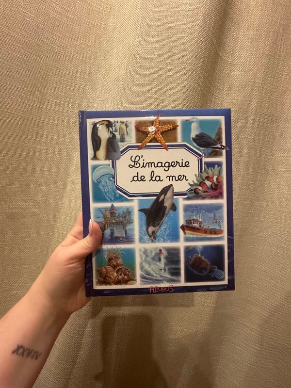 L'imagerie de la mer