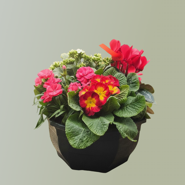 [Coupe de plantes]
