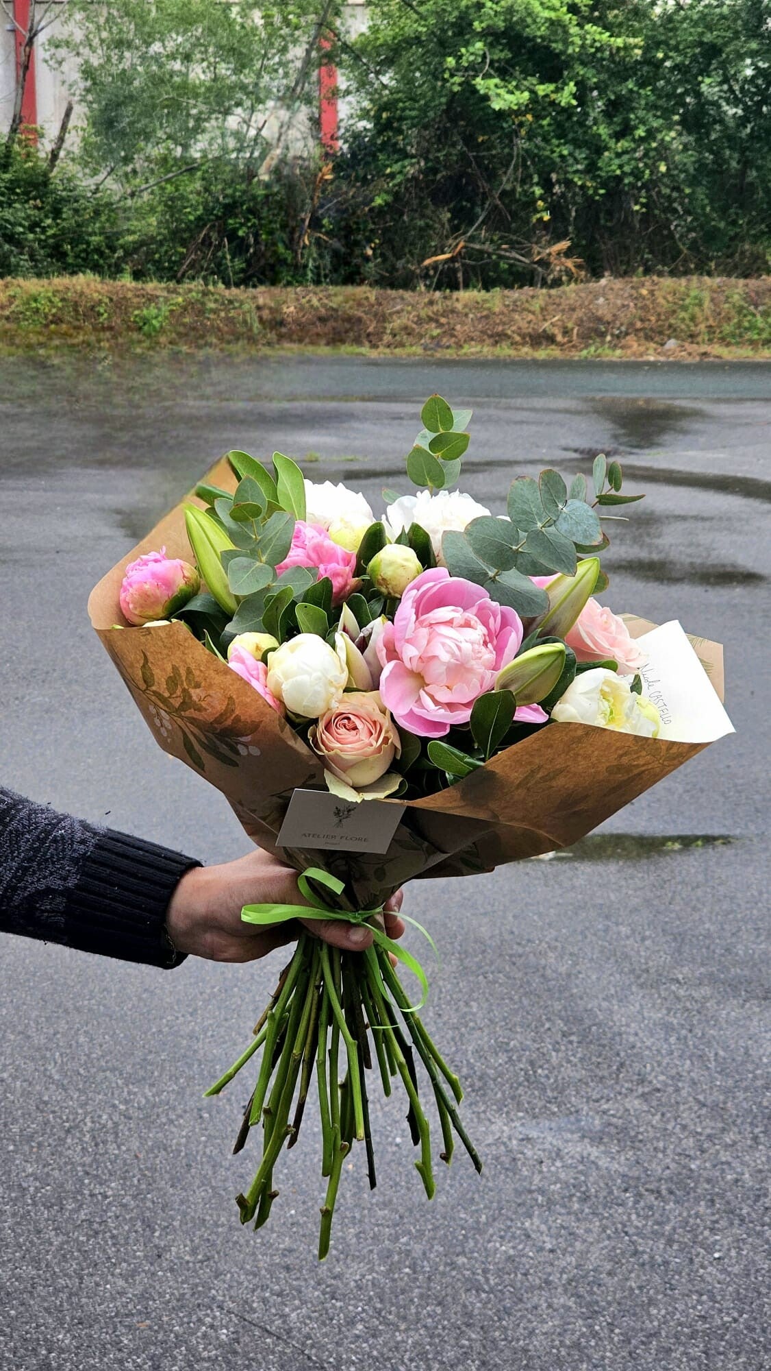 [Pivoines]