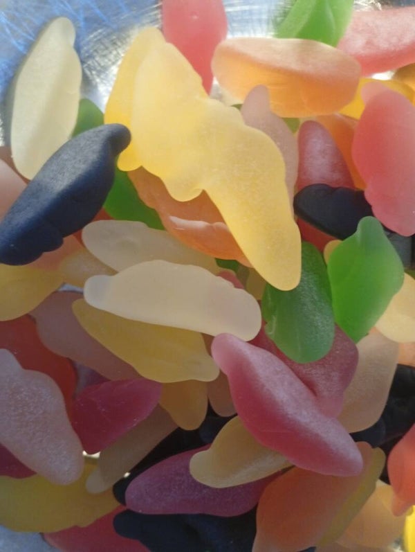 Souris lisse