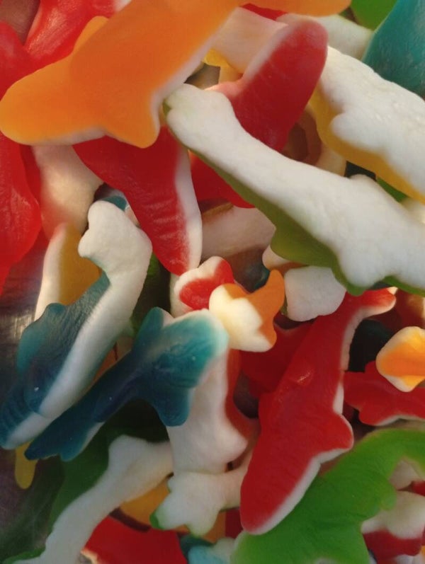 Requin lisse