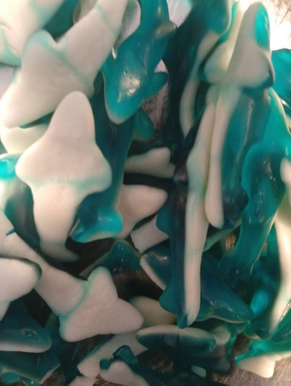 Requin bleue lisse