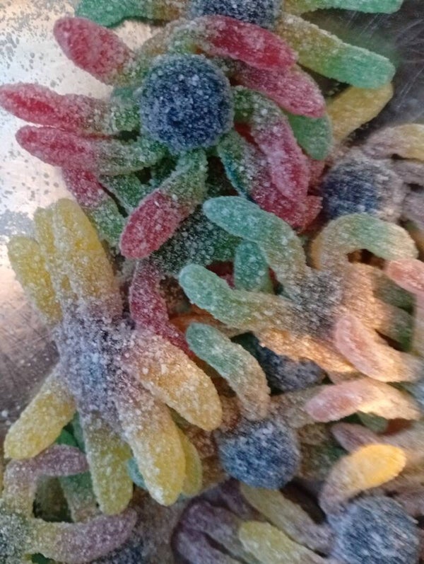 Octopus sucré