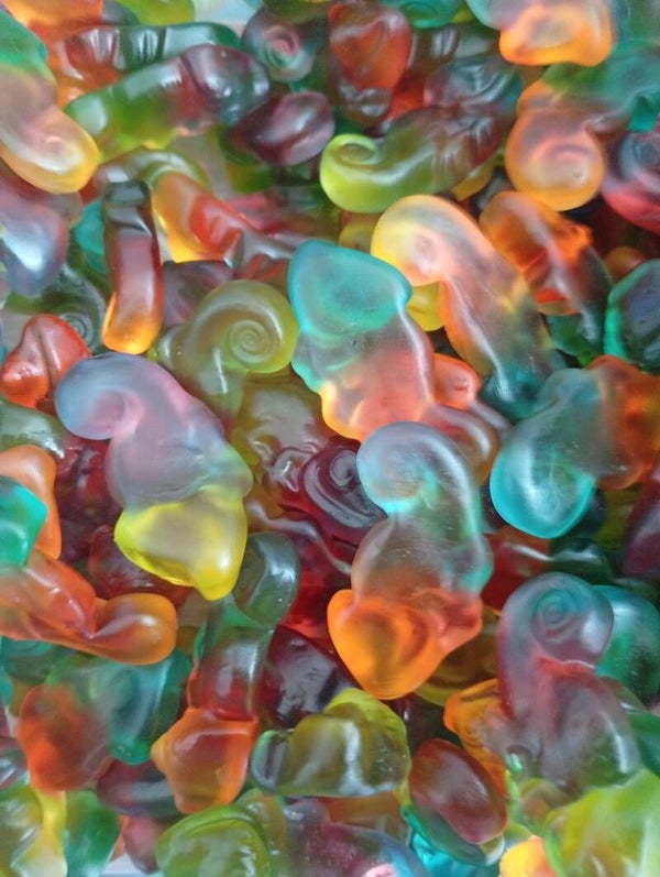 Caméléon lisse Haribo