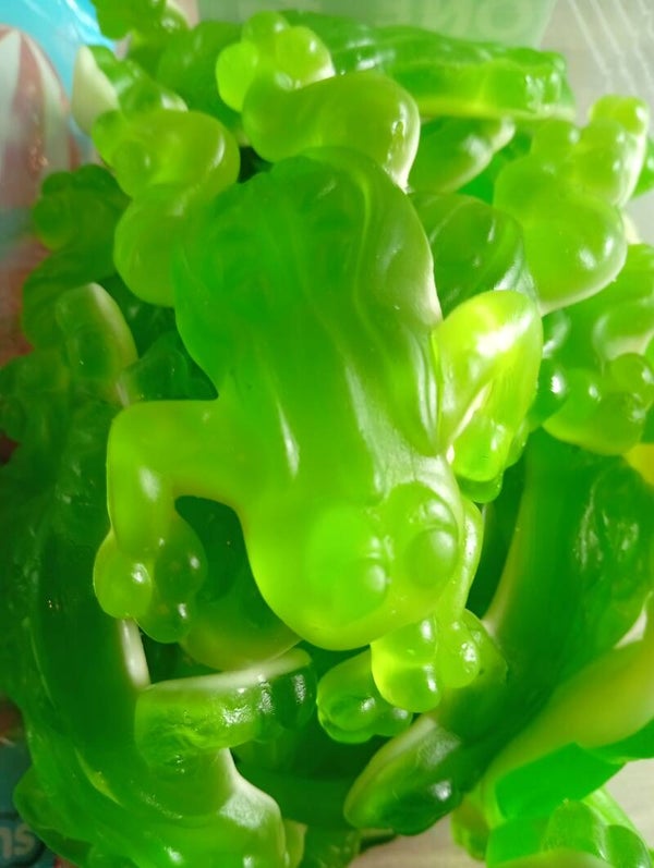 Grenouille géante