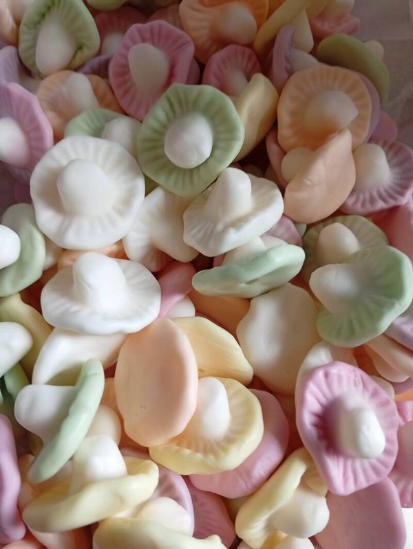 Champignons lisse