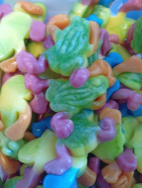 Grenouille tropicale lisse