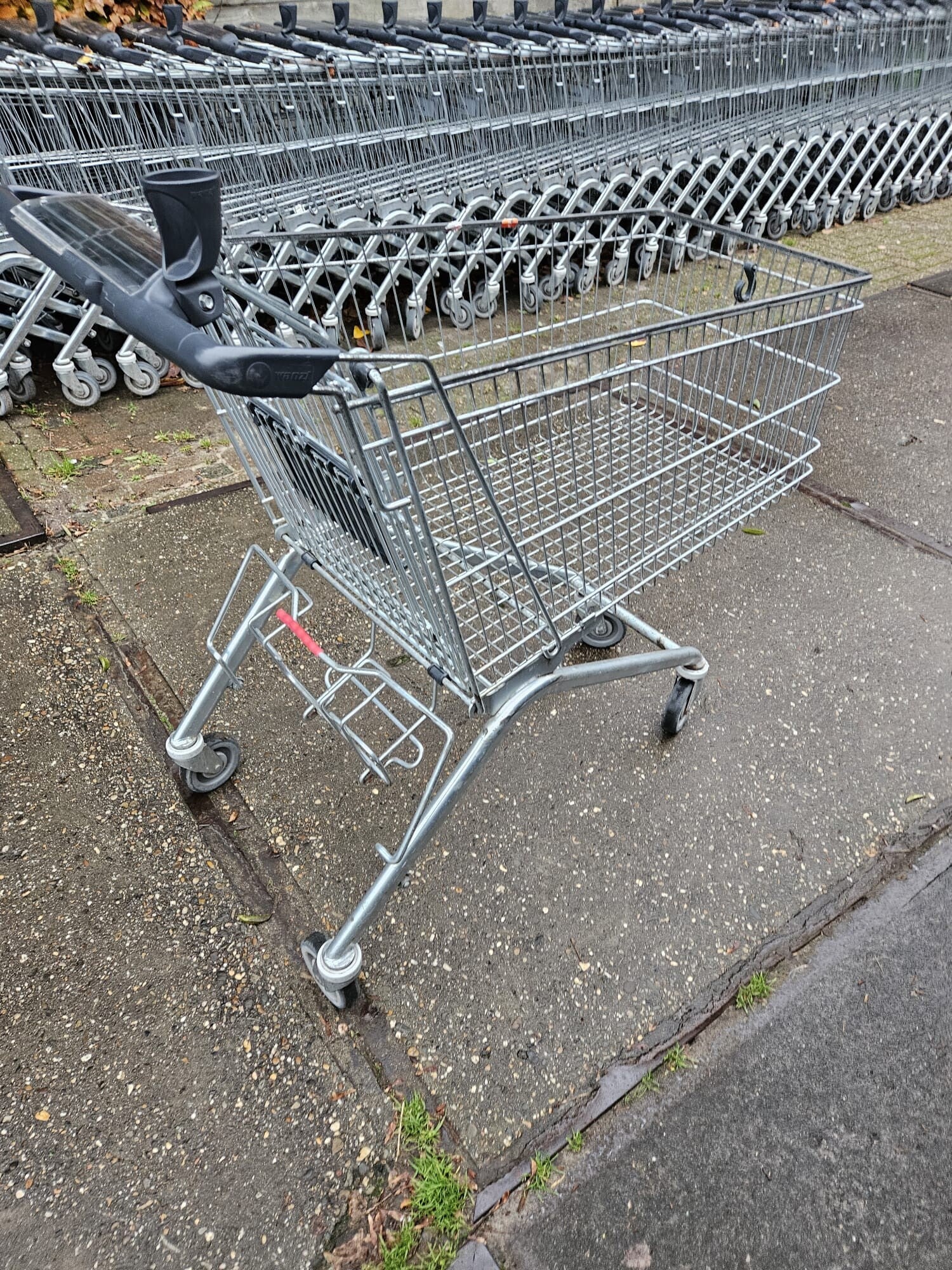 Winkelwagen 178L wanzl