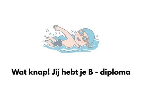 Je hebt je B - diploma