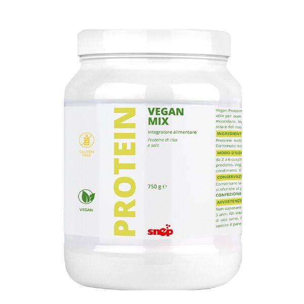 Vegan Protein Mix