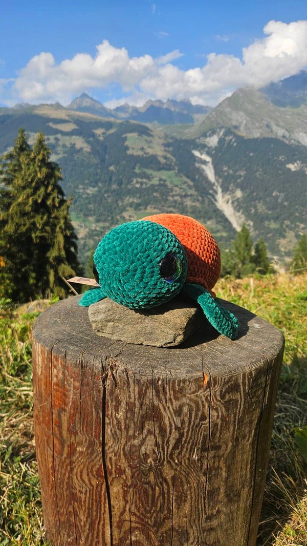Tortue au crochet