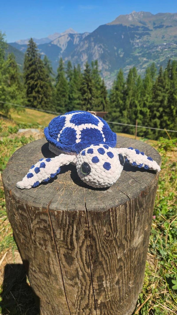 Tortue