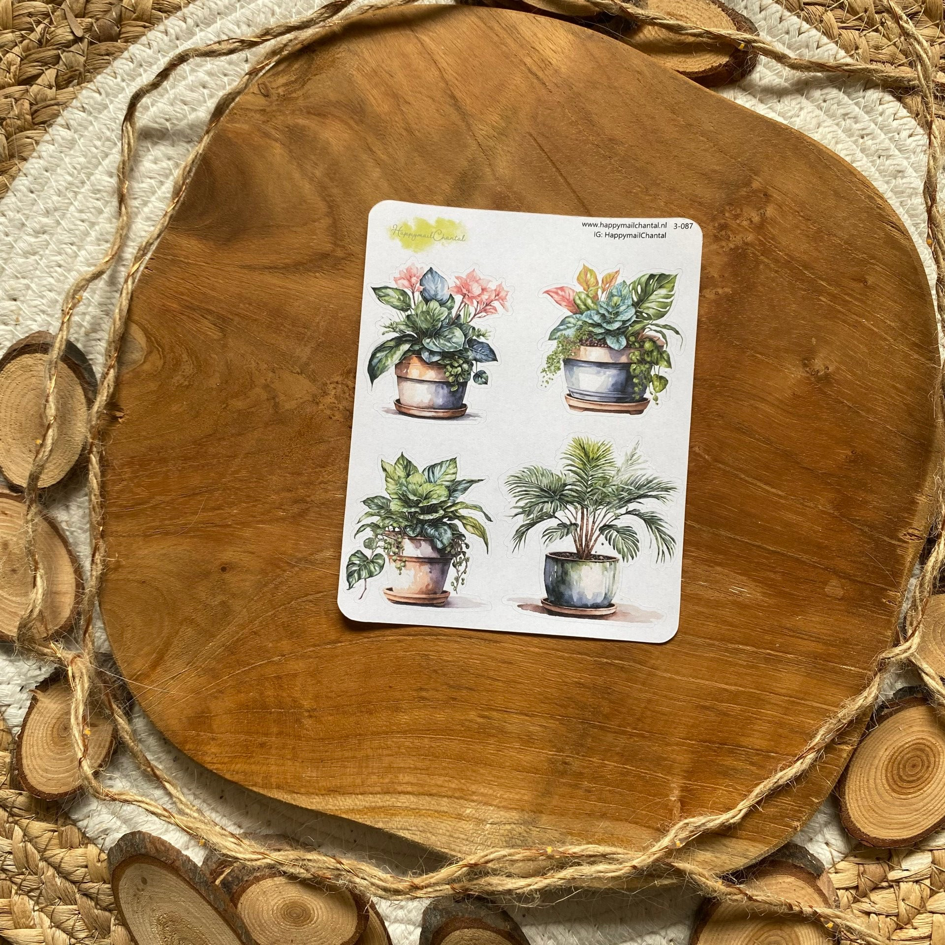 STICKERS - Kamerplanten 1