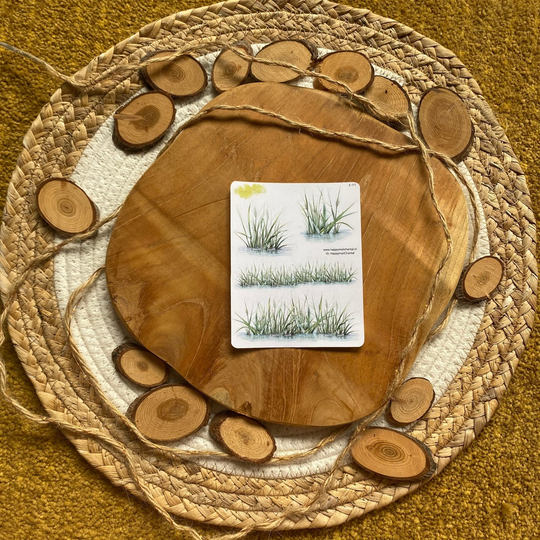 STICKERS - Riet