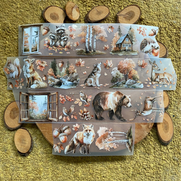 🍁 PET TAPE – Fall forest friends (6cm x 5m) 🦊