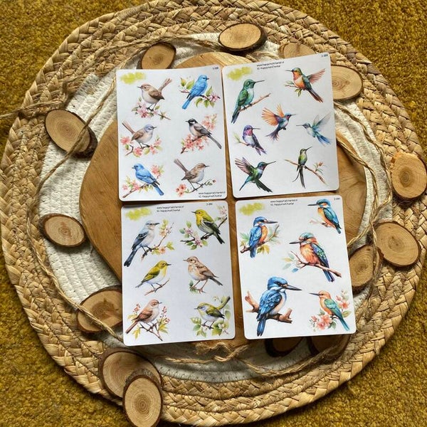 STICKERS - Vogels set van 4