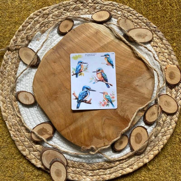 STICKERS - IJsvogels