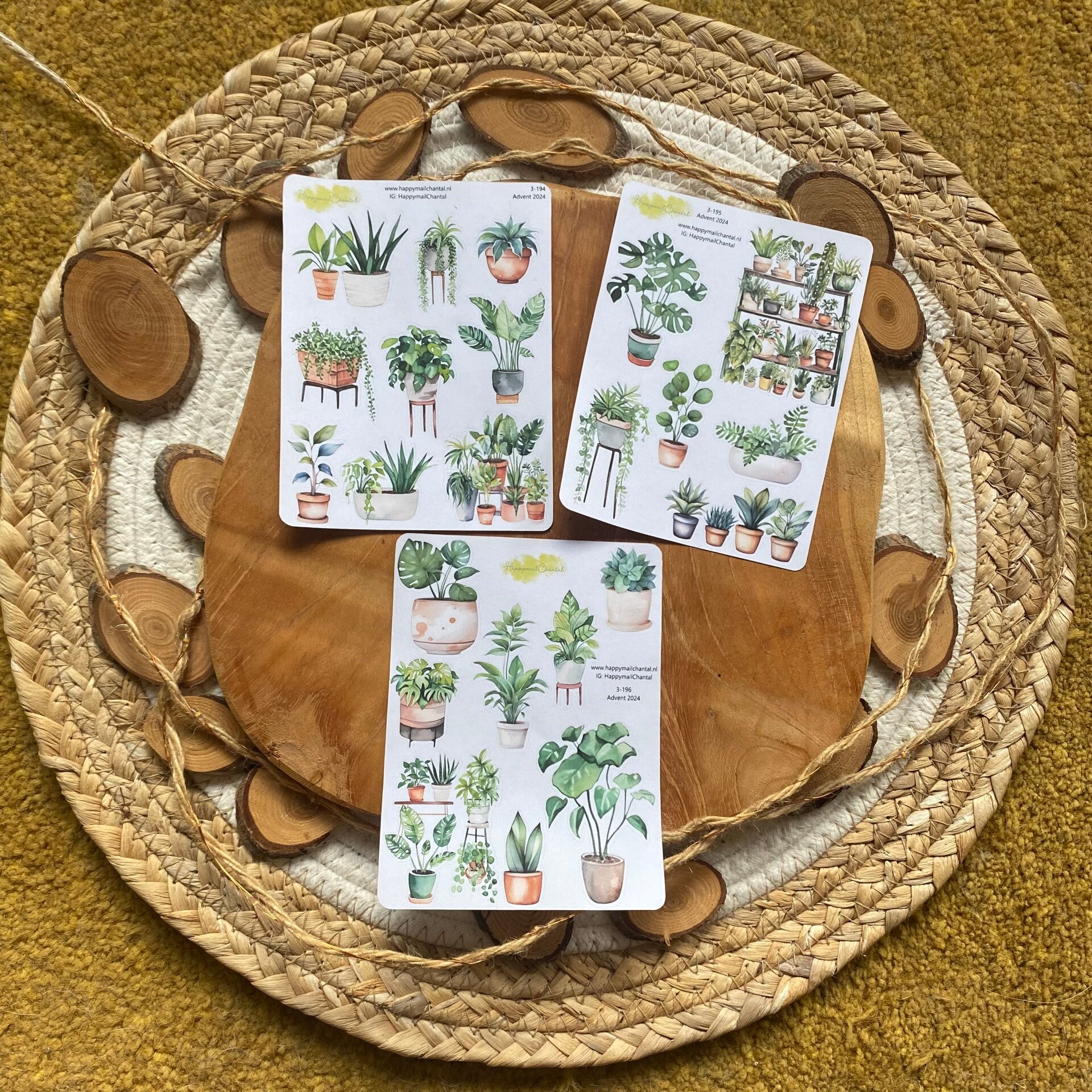 STICKERS - Kamerplanten (Advent 2024)