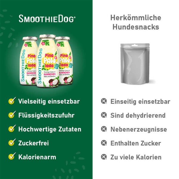 Sommer Dogsmoothie