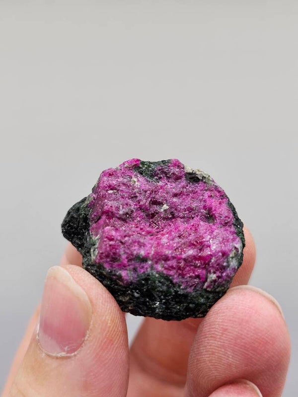 Robijn Biotiet (box3)