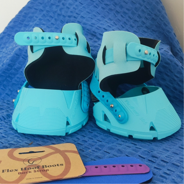 Hipposandale Flex ovale turquoise taille 105