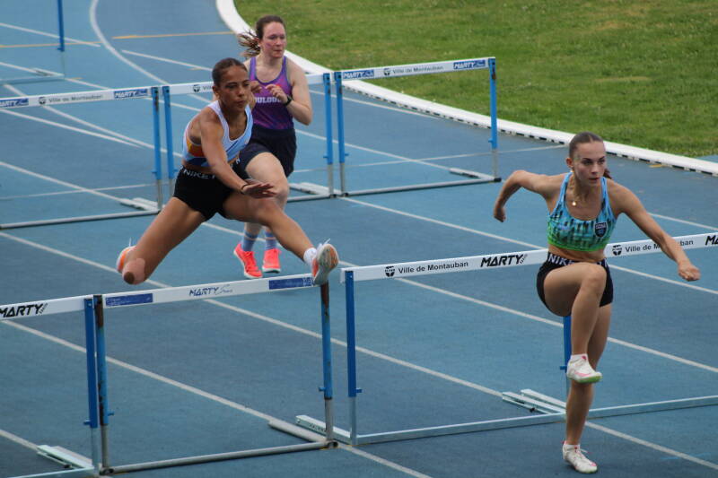img_4395-standard.jpg
