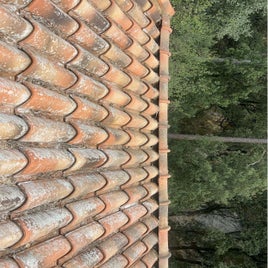 image0-24-standard.jpg