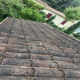 image1-16-standard.jpg