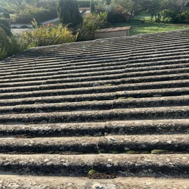 image2-13-standard.jpg