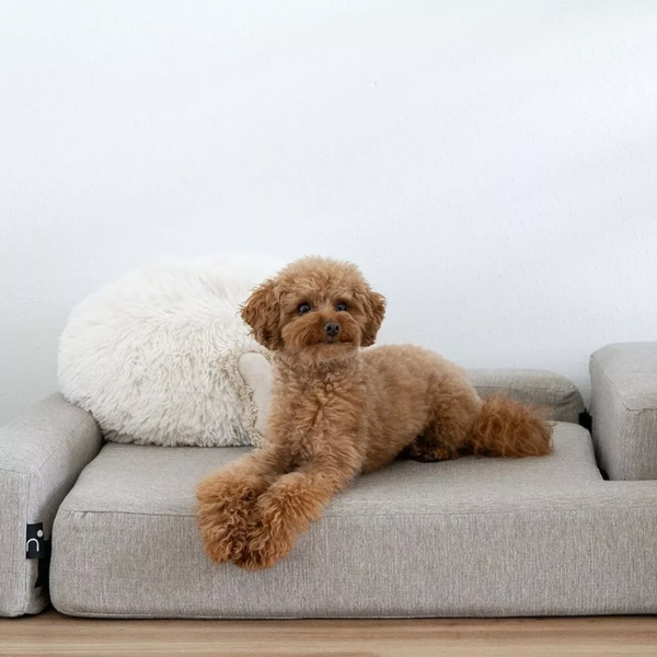 Divano letto in memory foam per cani e gatti