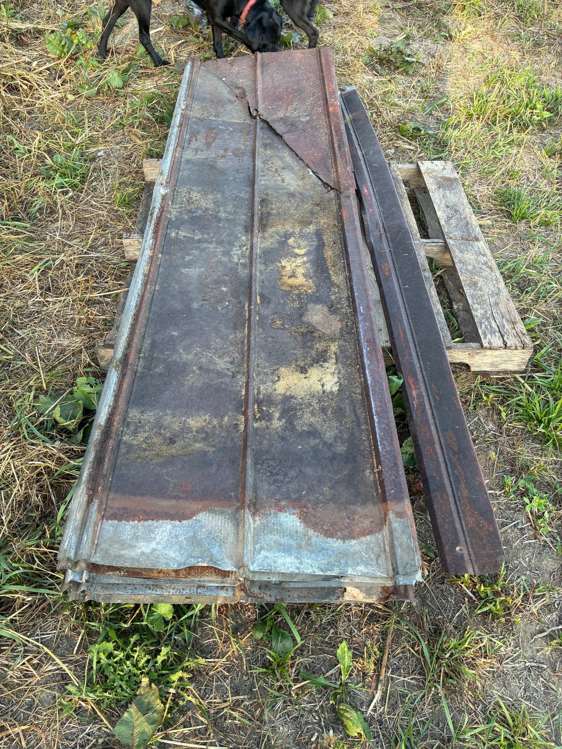 Salvaged 5V-Rib Metal Roofing