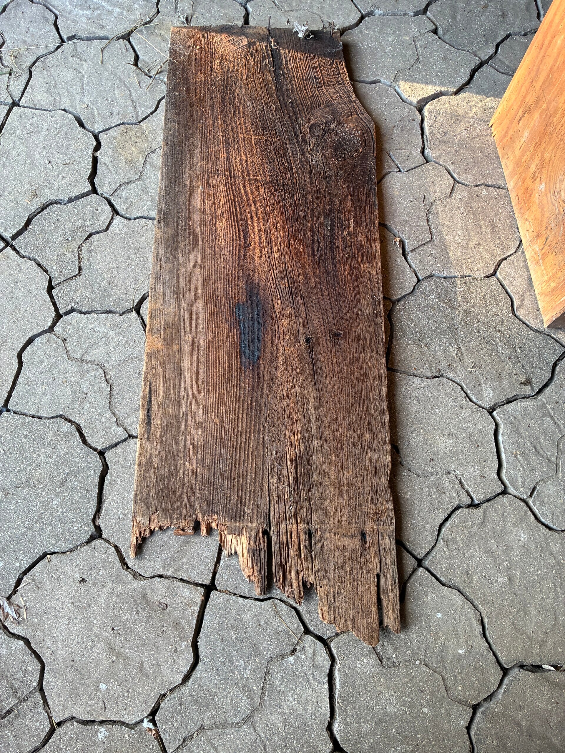 Salvaged Vintage Lumber Wide Pine Board 19” wide x 54” long