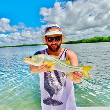 fish-19-standard.jpg