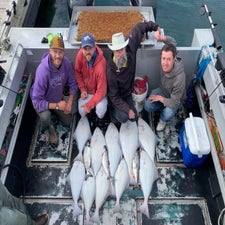fish-6-standard-tih38u.jpg