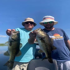 fish-7-standard-2b279w.jpg