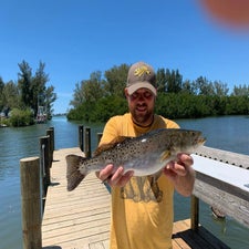 fish2-standard.jpg