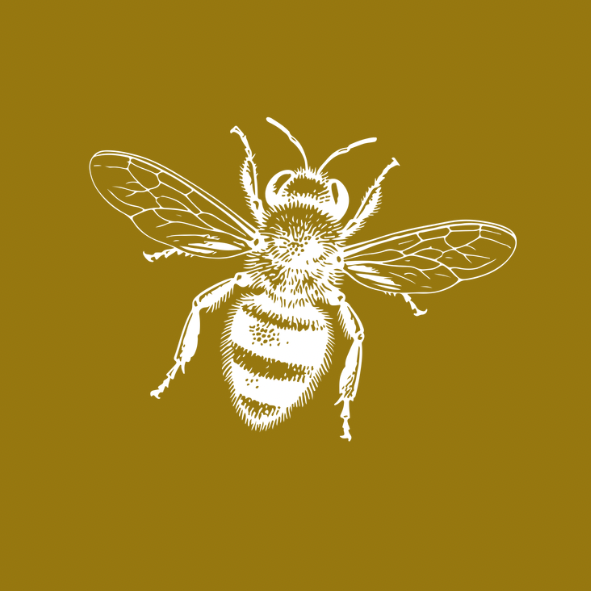untitled-design-2-standard-b8mklq.png