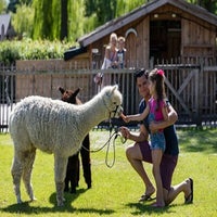 boerderij-3.jpg