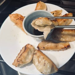 frozen-dumplings-2-standard.jpg
